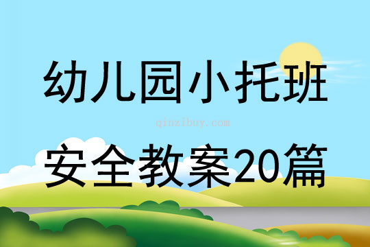 幼儿园小托班安全教案20篇