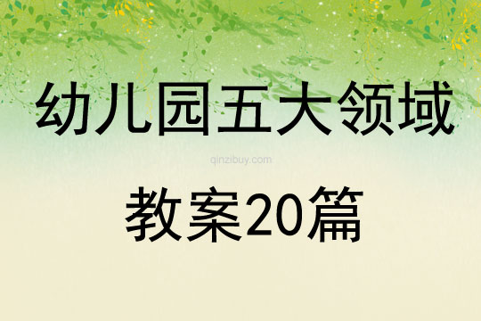 幼儿园五大领域教案20篇