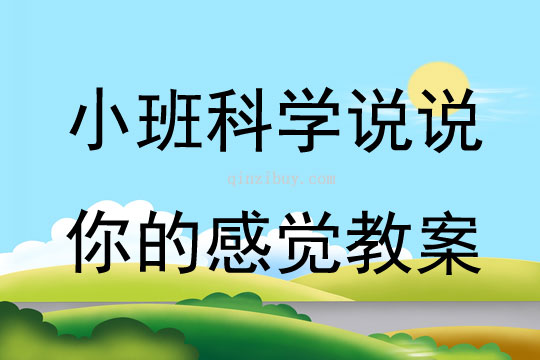 小班科学说说你的感觉教案