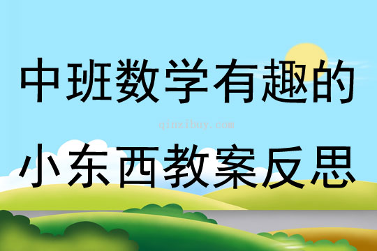 中班数学公开课有趣的小东西教案反思