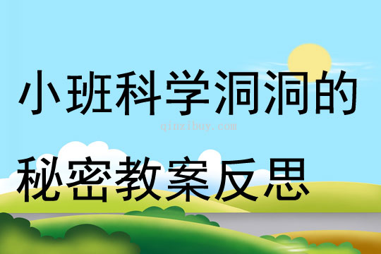 小班科学洞洞的秘密教案反思