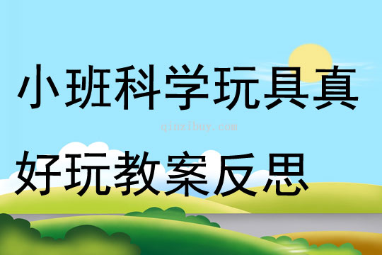 小班科学玩具真好玩教案反思