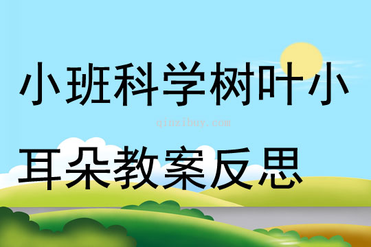 小班科学树叶小耳朵教案反思