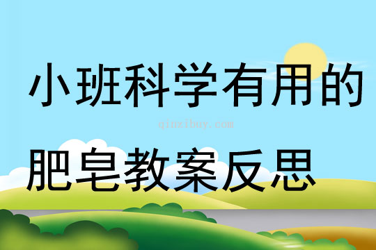 小班科学有用的肥皂教案反思