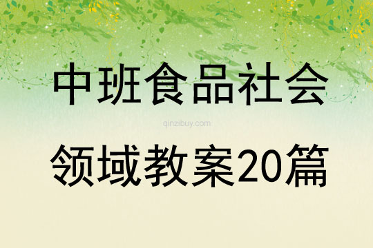 中班食品社会领域教案20篇