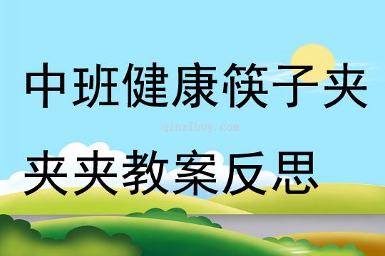 中班健康筷子夹夹夹教案反思