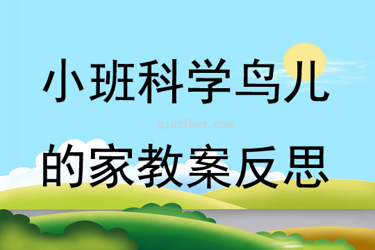 小班科学鸟儿的家教案反思