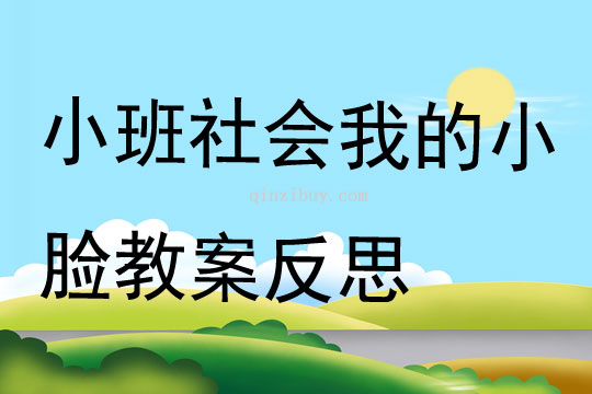 幼儿园小班社会公开课我的小脸教案反思