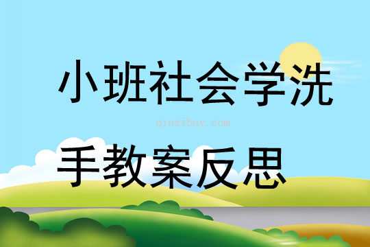 幼儿园小班社会公开课学洗手教案反思