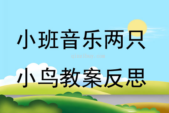 幼儿园小班音乐公开课两只小鸟教案反思