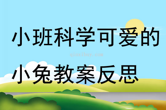 小班科学可爱的小兔教案反思