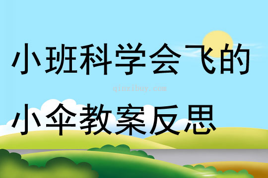 小班科学会飞的小伞教案反思