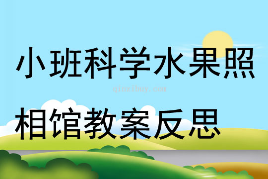 小班科学优质课水果照相馆教案反思