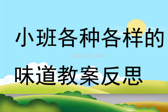 小班科学各种各样的味道教案反思