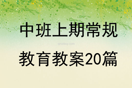 中班上期常规教育教案20篇