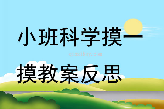 小班科学公开课摸一摸教案反思