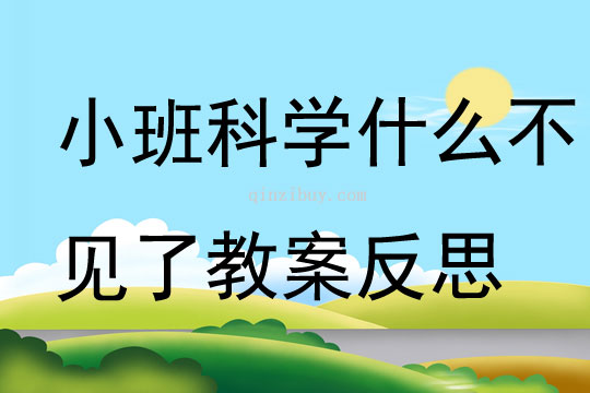 小班科学公开课什么不见了教案反思