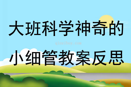 大班科学神奇的小细管教案反思