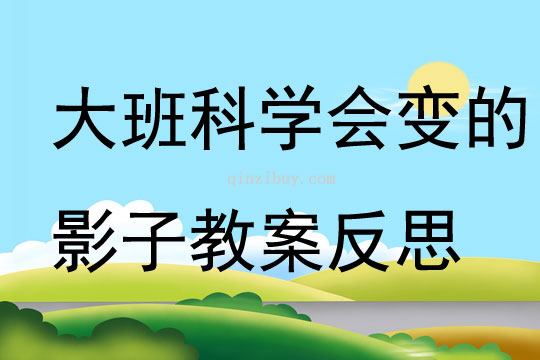 大班科学优质课会变的影子教案反思