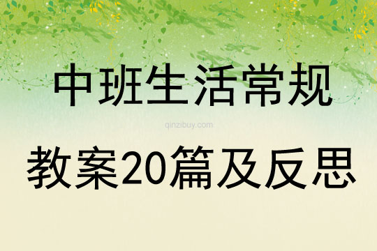 中班生活常规教案20篇及反思