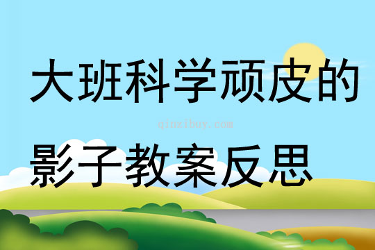 大班科学顽皮的影子教案反思