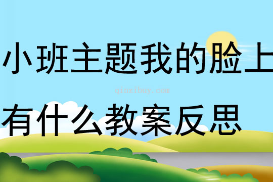 小班主题我的脸上有什么教案反思