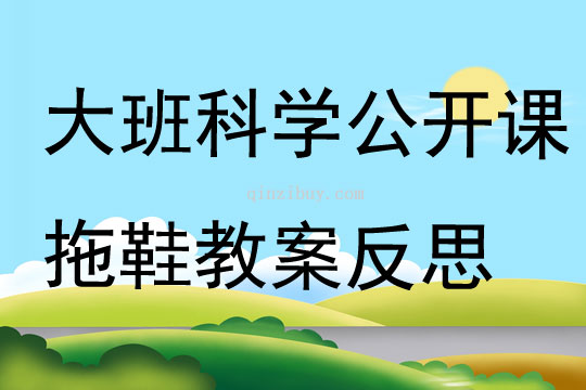 大班科学公开课拖鞋教案反思