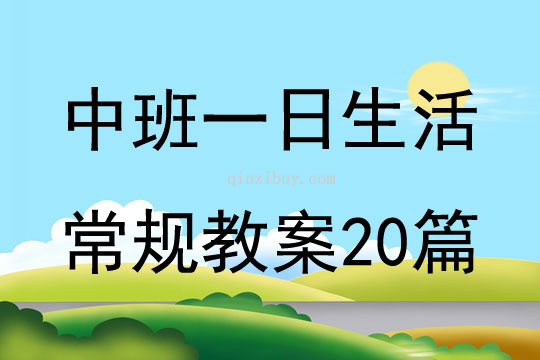 中班一日生活常规教案20篇