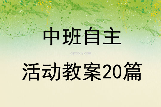 中班自主活动教案20篇