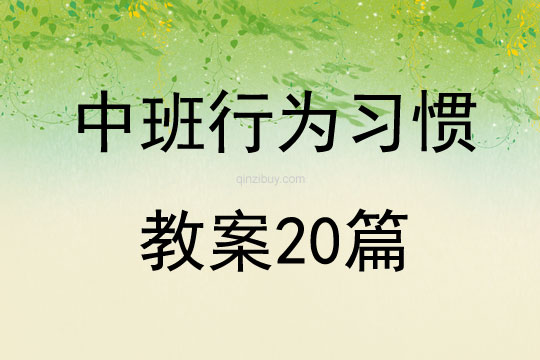 中班行为习惯教案20篇