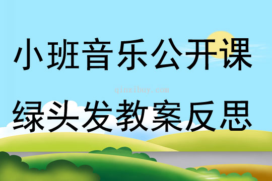 小班音乐公开课绿头发教案反思