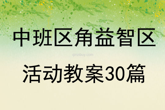 中班区角益智区活动教案30篇