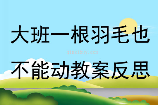 大班主题公开课一根羽毛也不能动教案反思