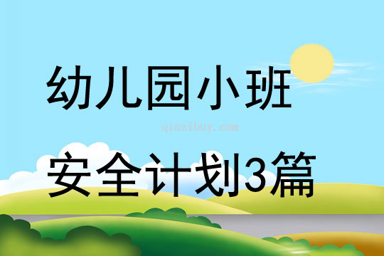 幼儿园小班安全计划3篇