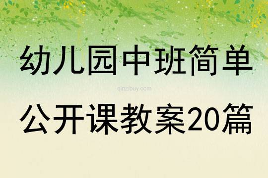 幼儿园中班简单公开课教案20篇