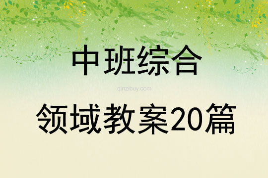 中班综合领域教案20篇