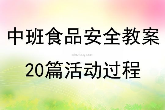 中班食品安全教案20篇活动过程