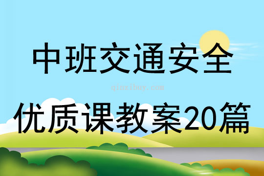 中班交通安全优质课教案20篇