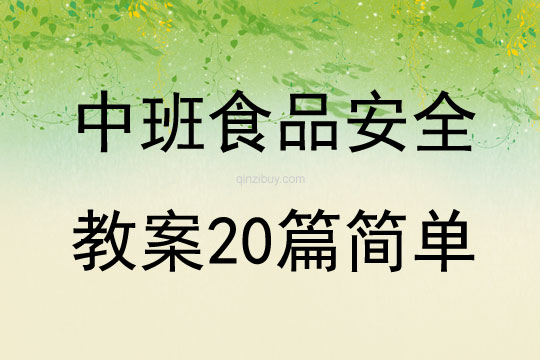 中班食品安全教案20篇简单