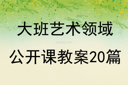 大班艺术领域公开课教案20篇