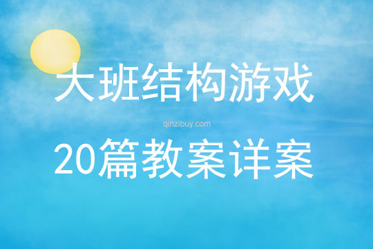 大班结构游戏20篇教案详案