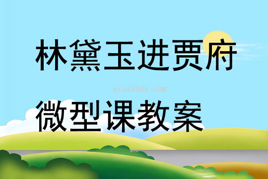 林黛玉进贾府微型课教案