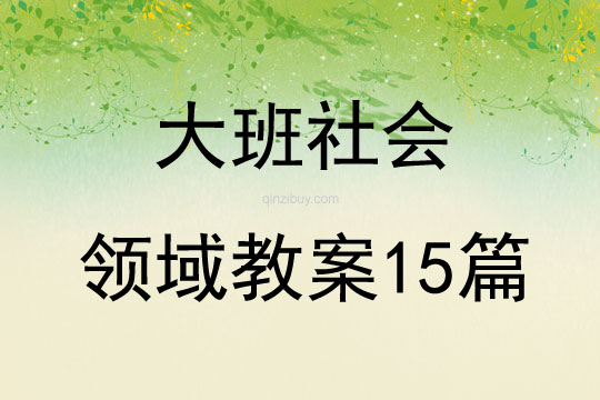 大班社会领域教案15篇