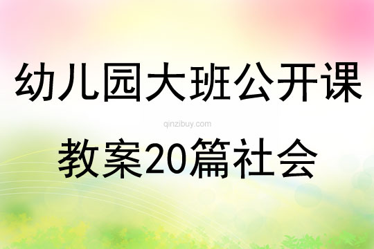 幼儿园大班公开课教案20篇社会