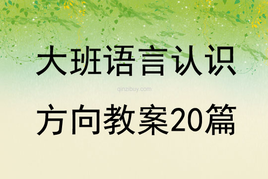 大班语言认识方向教案20篇