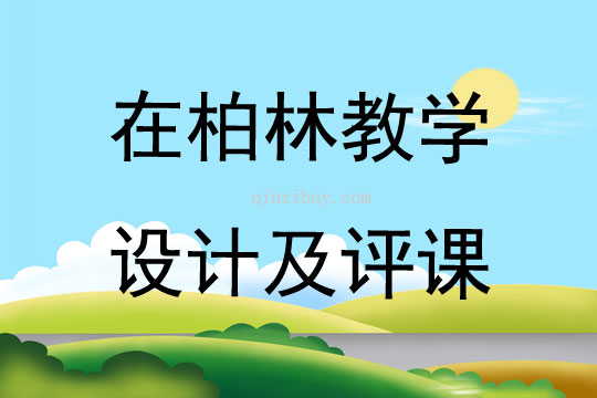 在柏林教学设计及评课