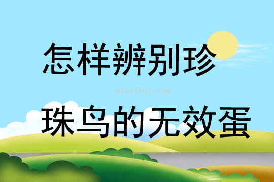 怎样辨别珍珠鸟的无效蛋