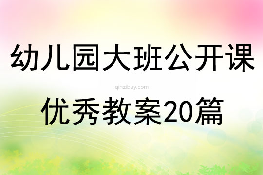 幼儿园大班公开课优秀教案20篇