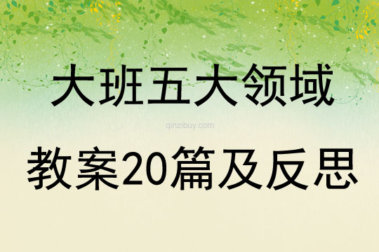 大班五大领域教案20篇及反思