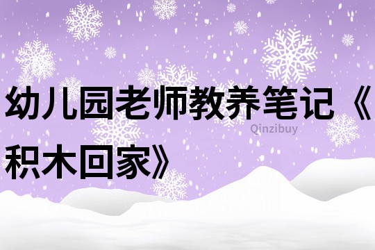 幼儿园老师教养笔记《积木回家》